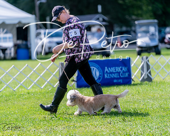 20240630-DSC03435