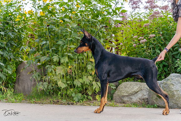 20230826-DSC07378