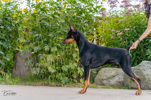 20230826-DSC07379