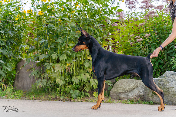20230826-DSC07380