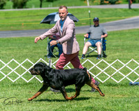 20250629-DSC09635