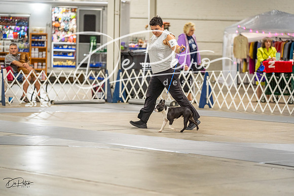 20230825-DSC02959