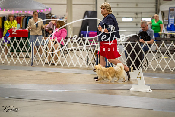 20230825-DSC02963