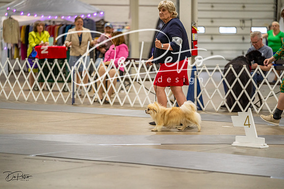 20230825-DSC02965