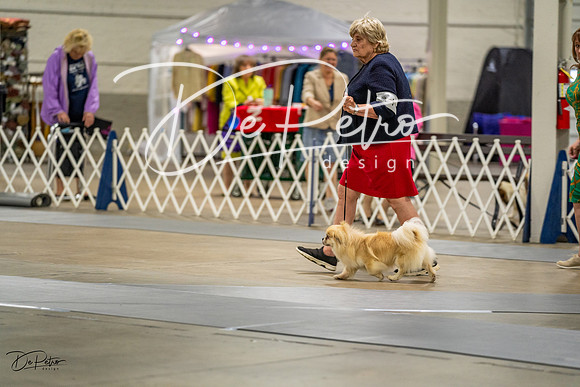 20230825-DSC02970