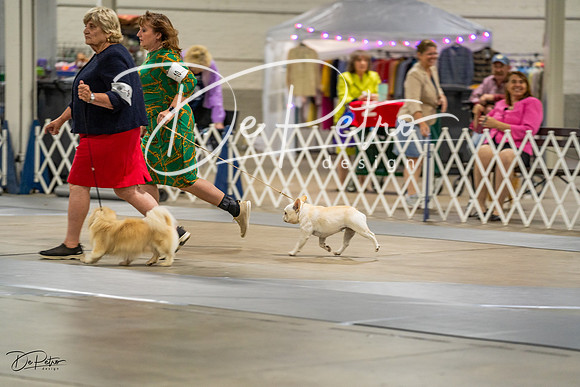 20230825-DSC02976