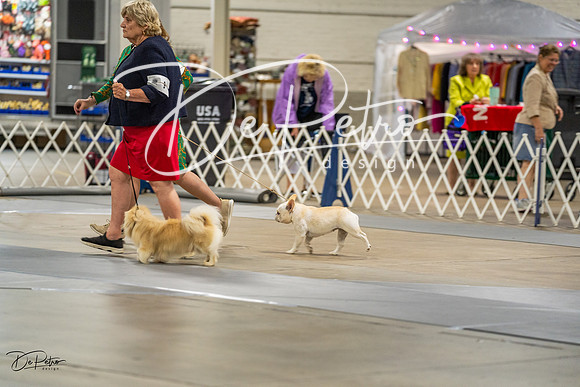 20230825-DSC02979