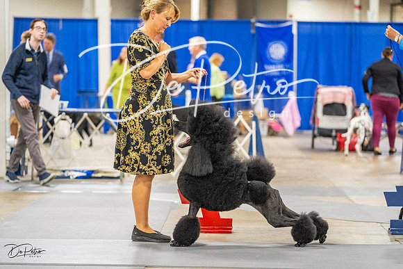 20230825-DSC02982