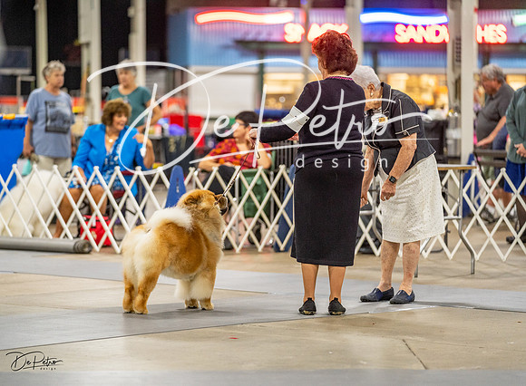20230825-DSC02837