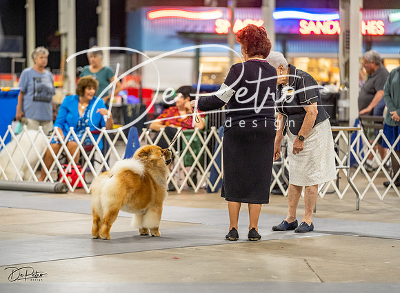 20230825-DSC02838