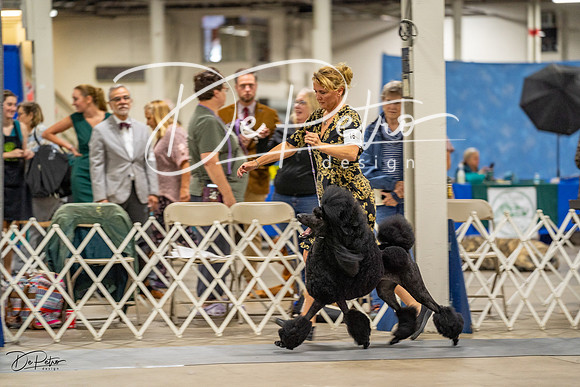 20230825-DSC02845