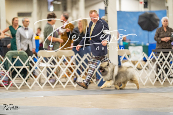 20230825-DSC02873