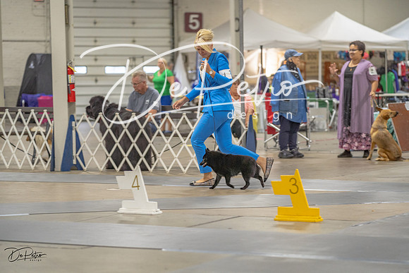 20230825-DSC02927