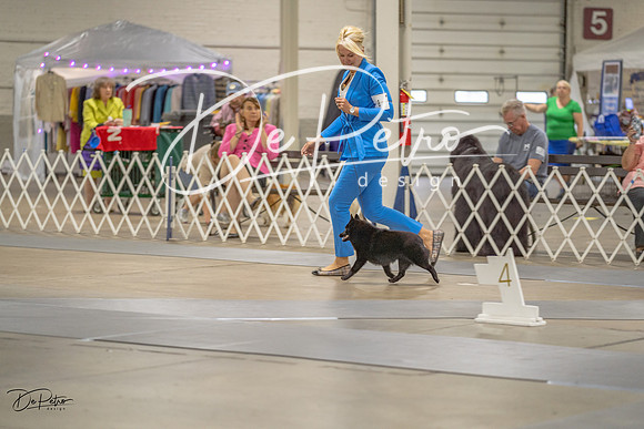 20230825-DSC02935