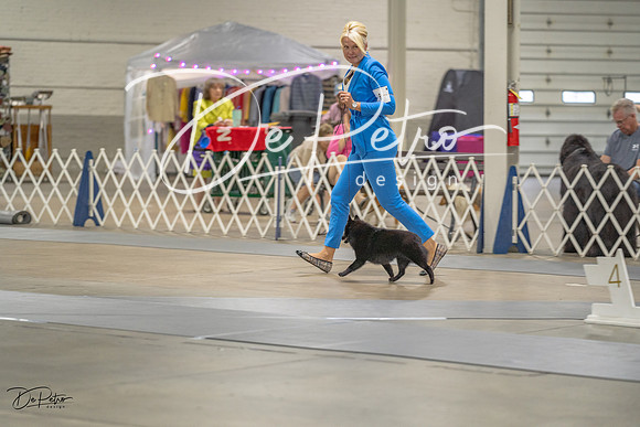 20230825-DSC02938