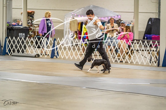 20230825-DSC02951