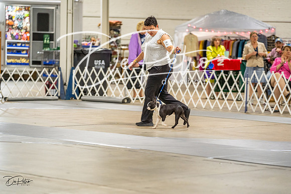 20230825-DSC02956