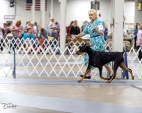 20230826-DSC04865
