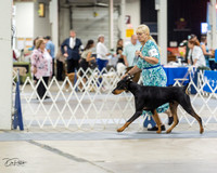 20230826-DSC04863