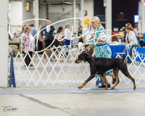 20230826-DSC04863