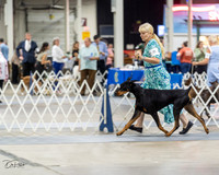 20230826-DSC04861