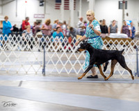 20230826-DSC04867