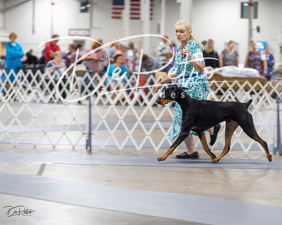 20230826-DSC04867