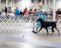 20230826-DSC04869