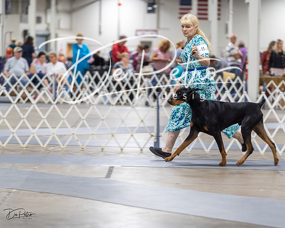 20230826-DSC04869
