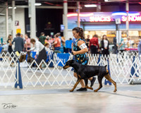 20230826-DSC04876