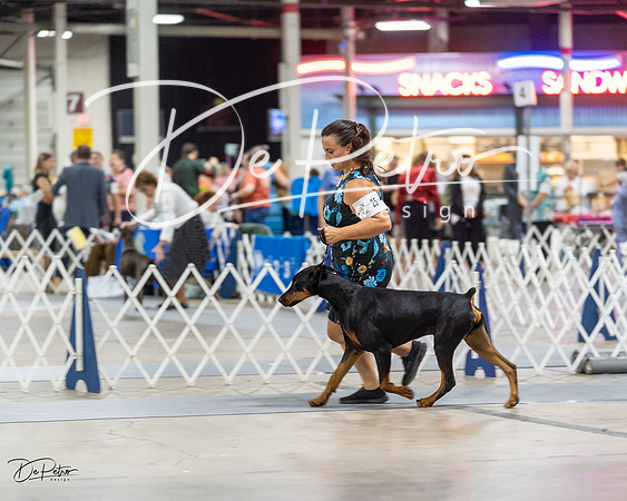 20230826-DSC04876