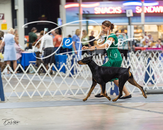 20230826-DSC04887