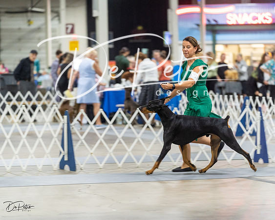 20230826-DSC04889
