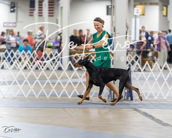 20230826-DSC04896