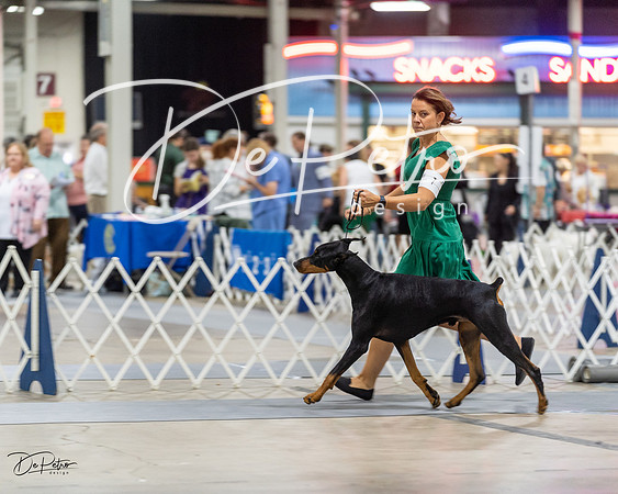 20230826-DSC04913