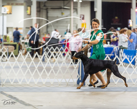 20230826-DSC04918