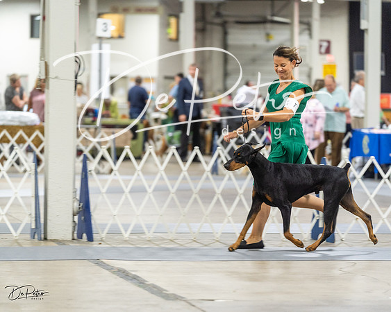 20230826-DSC04920