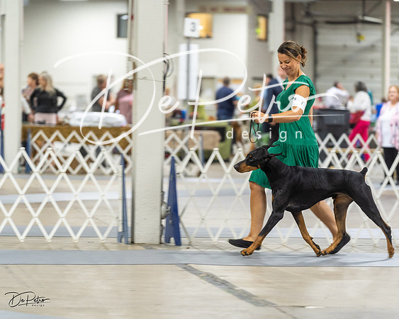 20230826-DSC04922