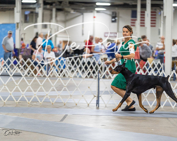 20230826-DSC04928