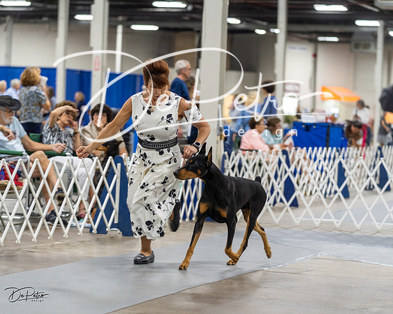 20230826-DSC04944