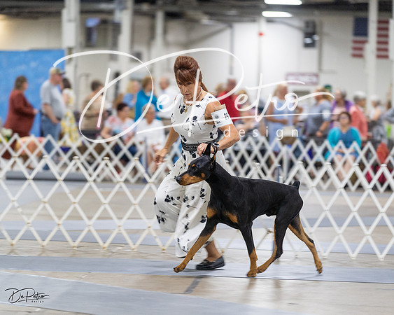20230826-DSC04965
