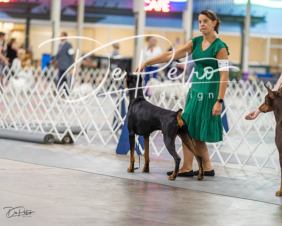 20230826-DSC04969