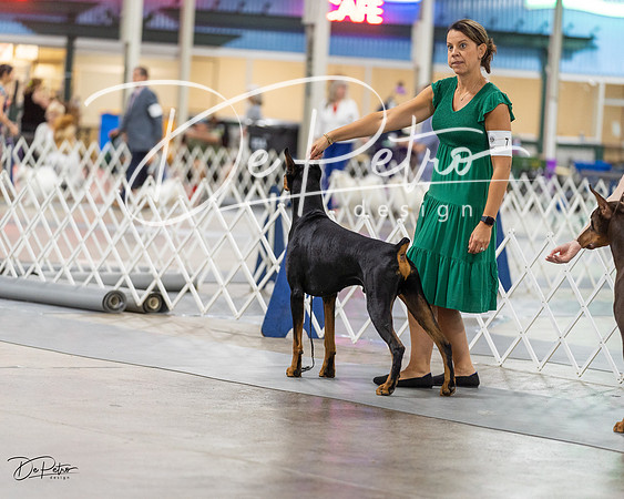 20230826-DSC04971