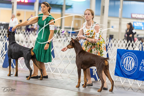 20230826-DSC04972