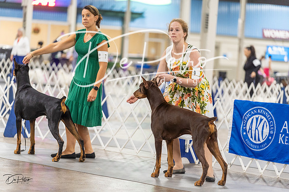 20230826-DSC04974