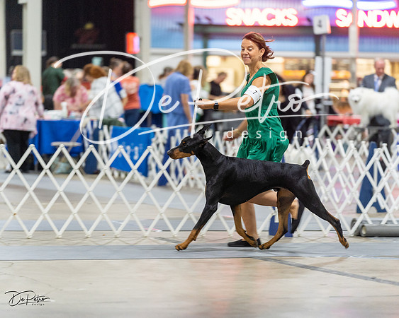 20230826-DSC04976