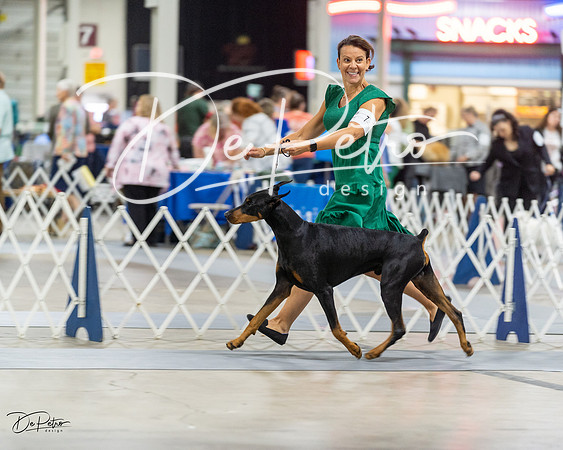 20230826-DSC04978