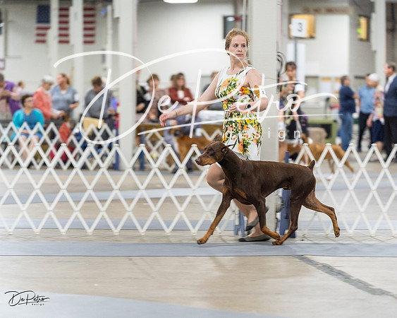 20230826-DSC04993