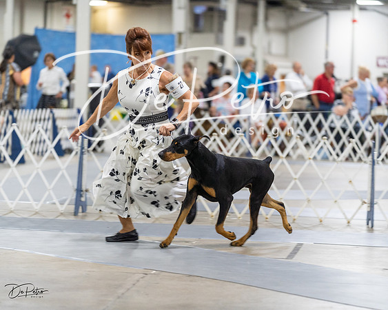 20230826-DSC05007