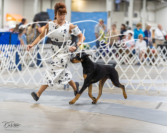 20230826-DSC05009